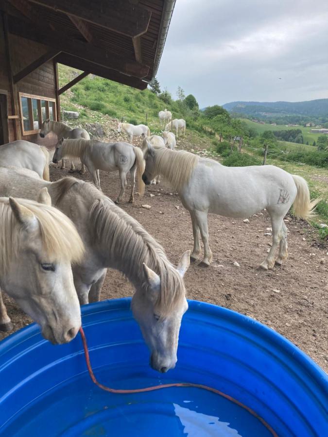 Chez Herve Le Chatelet La Chaux Neuve Dış mekan fotoğraf